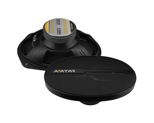КОЛОНКИ AVATAR XBR-6913 120W/60W                                                                  