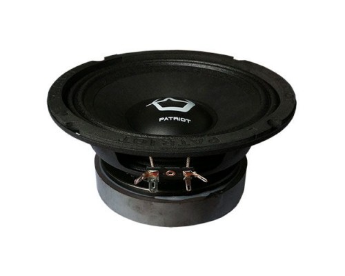 КОЛОНКИ УРАЛ AS-PT165 PATRIOT BLACK EDITION 300W/150W 1 ШТ.                                       