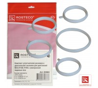 УПЛОТНИТЕЛЬ РЕСИВЕРА ДВ. 21127 ВАЗ 1118/2170, 2190, 2192, 2194 (Е-ГАЗ) ROSTECO (5 ШТ.)            